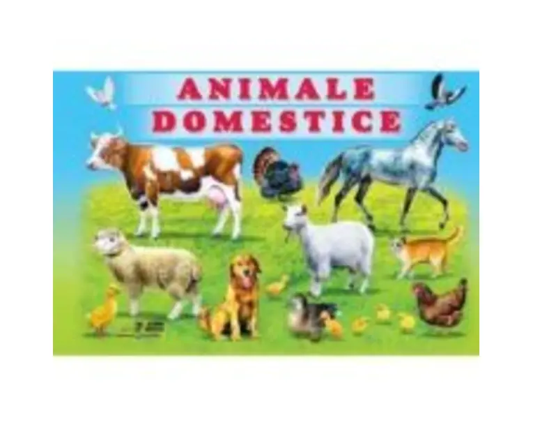 Animale domestice - Titus Stirbu