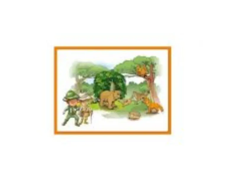 Animale (KP-009) - 50 x 70