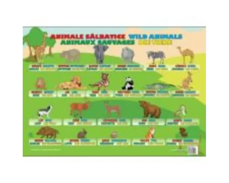 Animale Salbatice - Plansa educativa