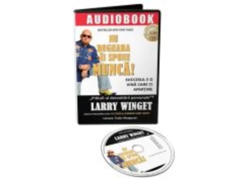 Audiobook. Nu degeaba ii spune munca! Succesul e o vina care-ti apartine - Larry Winget