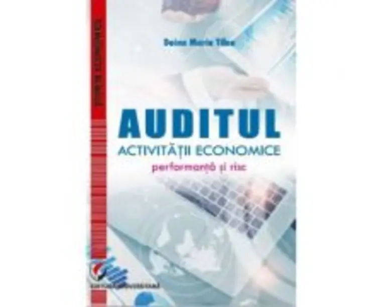 Auditul activitatii economice. Performanta si risc - Doina Maria Tilea