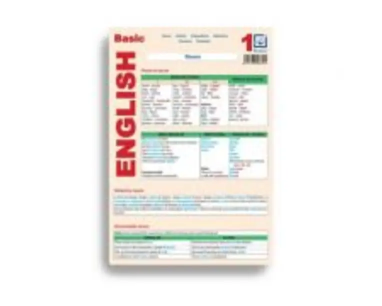 Basic English 1 - Mihaela Danga, Laura Popescu