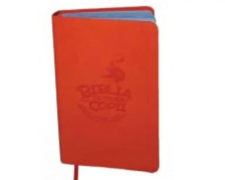 Biblia de studiu pentru copii. Coperta piele ecologica, LPI126