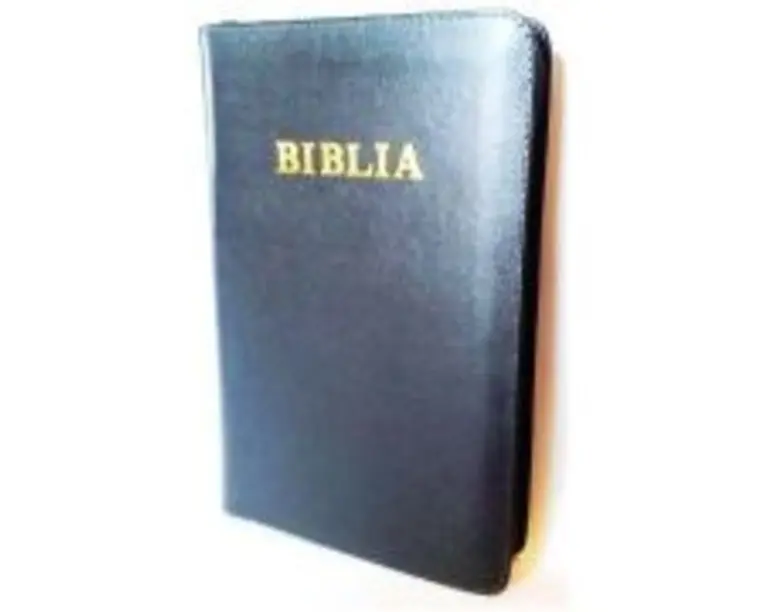 Biblia de studiu pentru copii. Coperta piele gri, LPI144