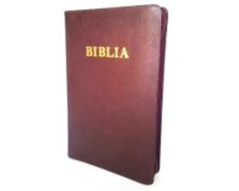 Biblia de studiu pentru copii. Coperta piele visinie, LPI152