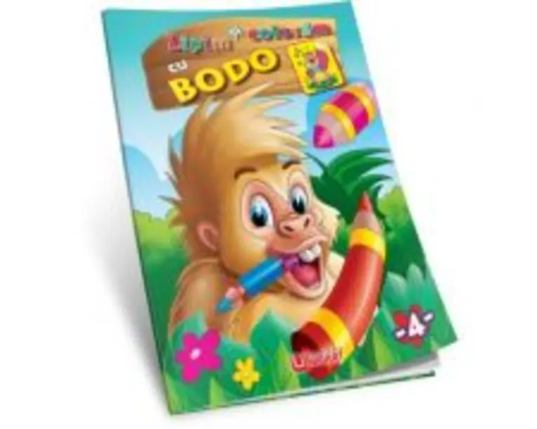 Lipim si coloram cu Bodo