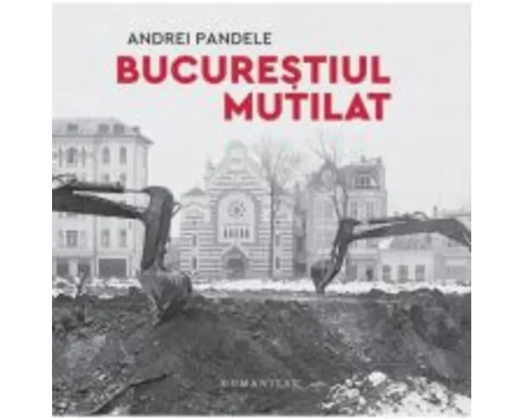 Bucurestiul mutilat - Andrei Pandele