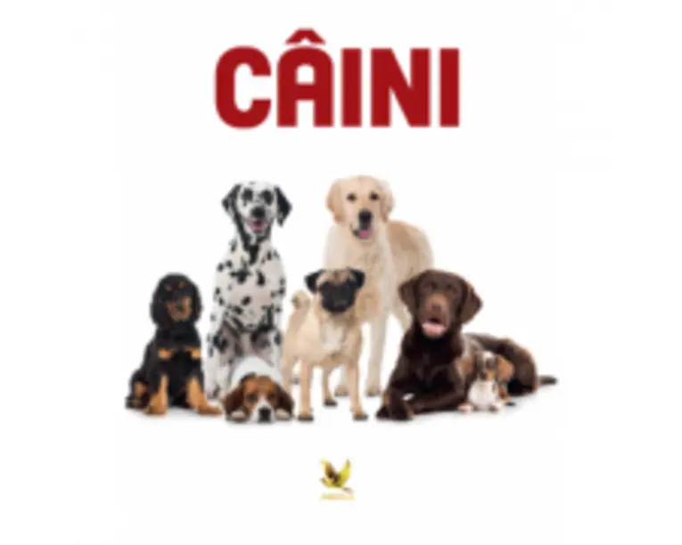 Caini