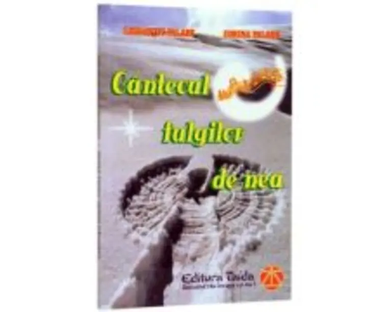 Cantecul fulgilor de nea - Corina Palade