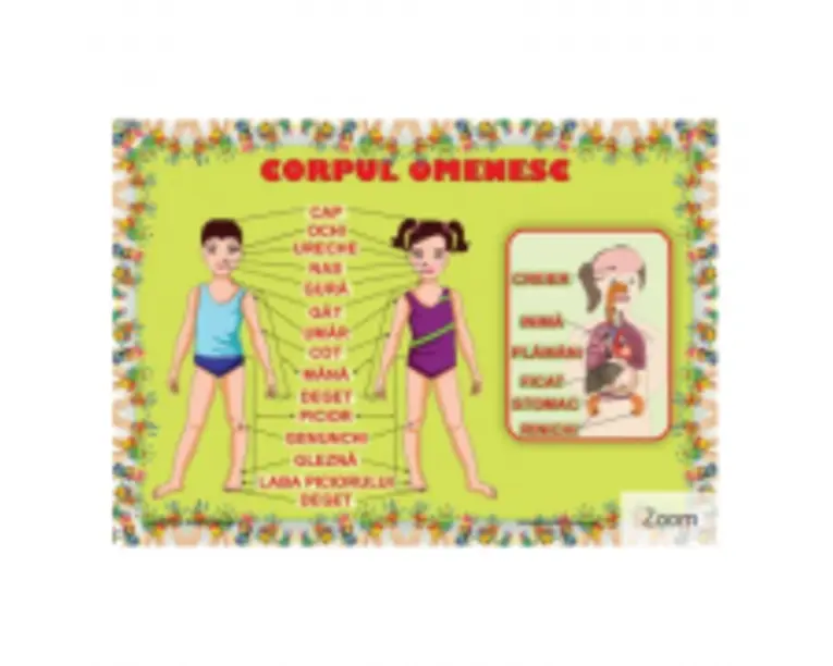 Corpul Omenesc. Plansa educationala
