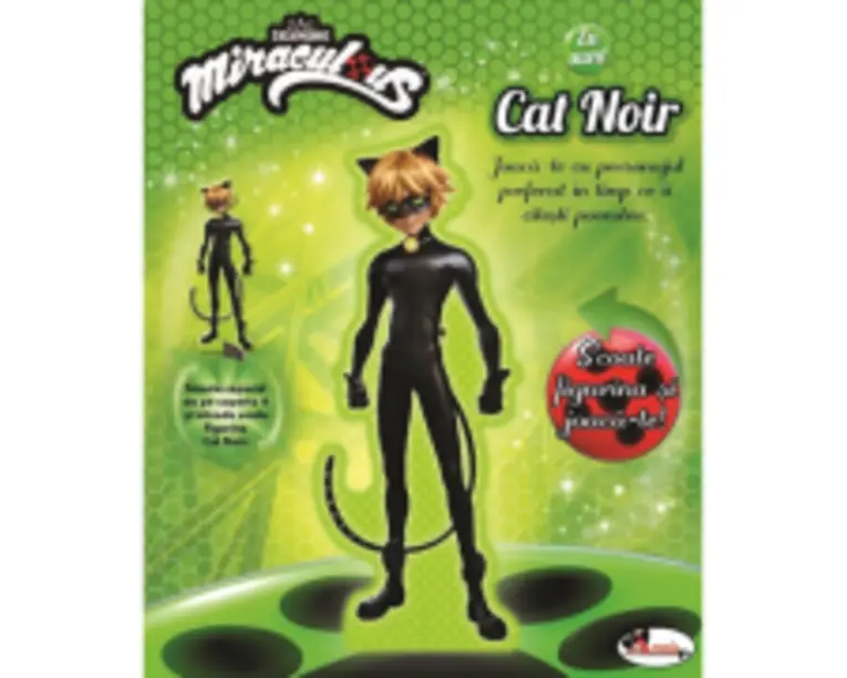 Eu sunt Cat Noir. Colectia Miraculous - Iuliana Voicu