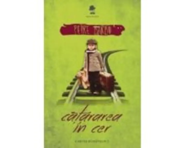 Catararea in cer - Petre Barbu