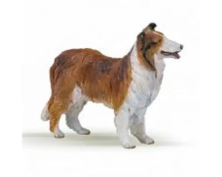 Figurina Catel rasa Collie, Papo