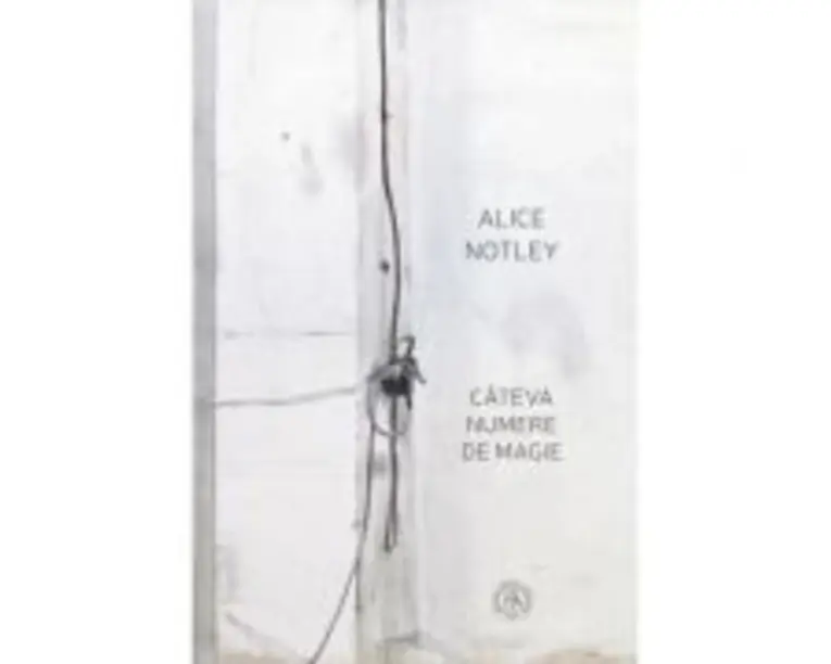 Cateva numere de magie - Alice Notley
