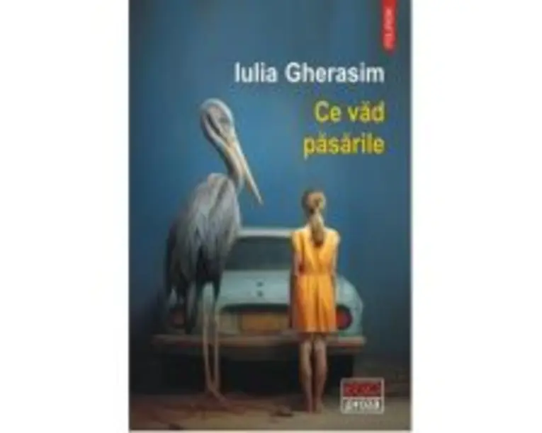 Ce vad pasarile - Iulia Gherasim