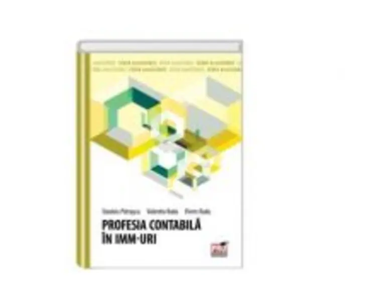 Profesia contabila in IMM-uri