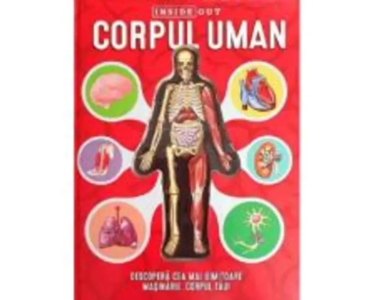 Corpul Uman model 3D