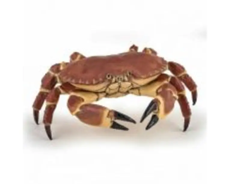 Figurina Crab, Papo