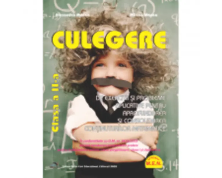 Culegere de exercitii si probleme aplicative pentru aprofundarea si consolidarea continuturilor matematice. Clasa a 2-a - Alexandra Manea