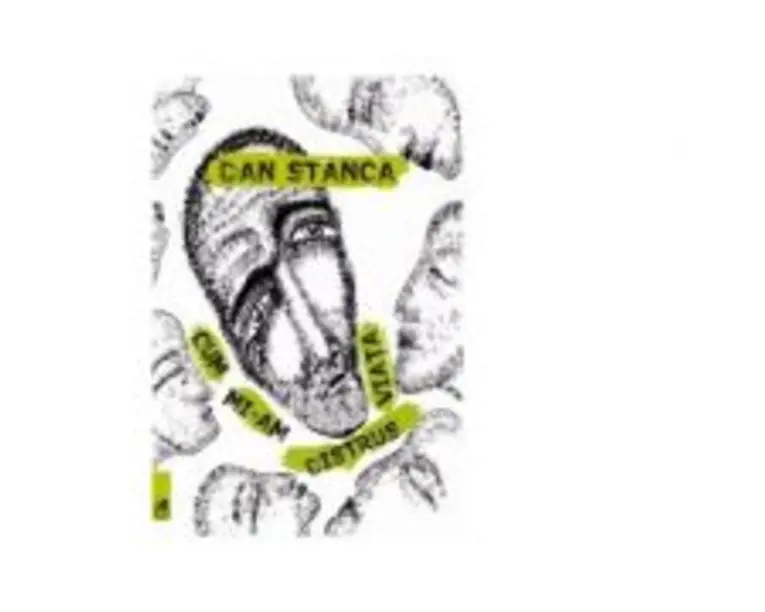 Cum mi-am distrus viata - Dan Stanca