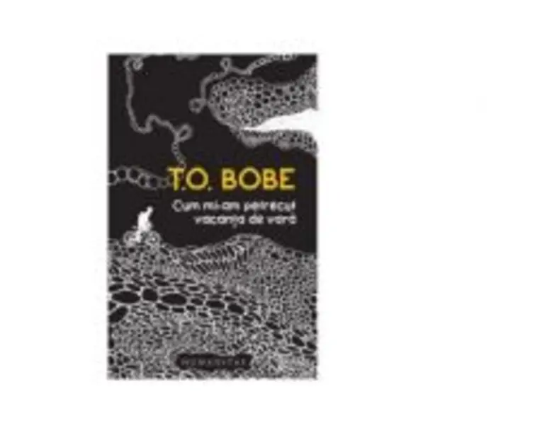 Cum mi-am petrecut vacanta de vara - T. O. Bobe