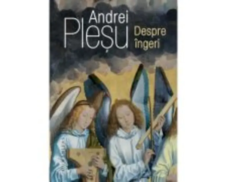 Despre ingeri - Andrei Plesu
