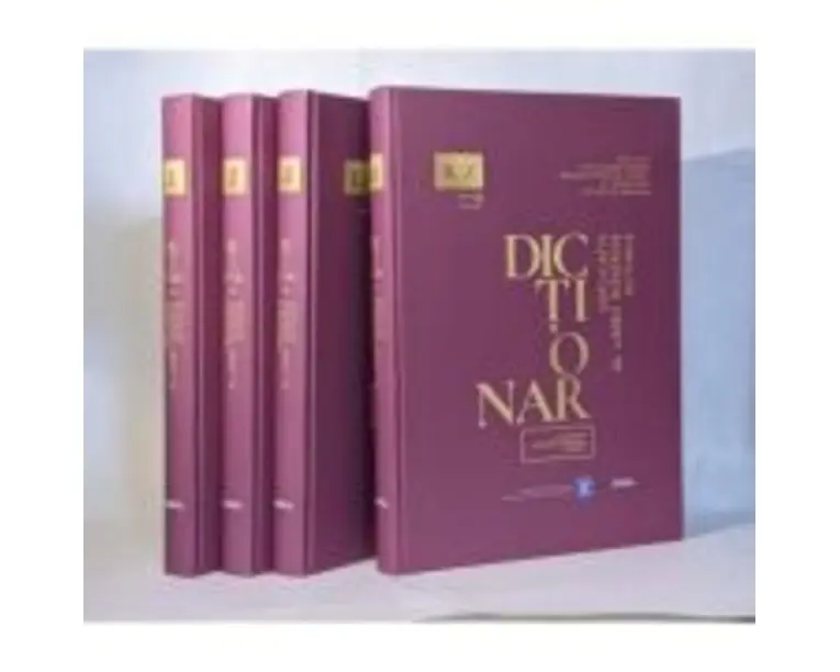 Dictionar explicativ al limbii romane actuale (cu sinonime, antonime, paronime, exemple) - Ana Vulpe
