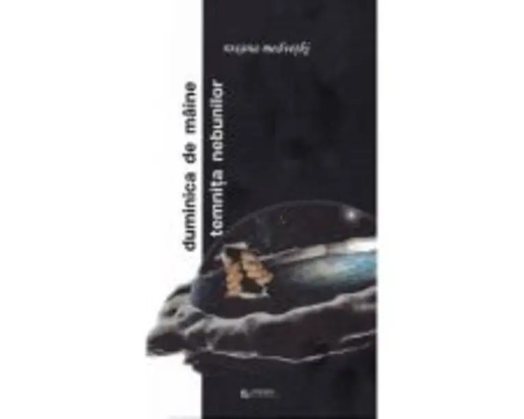 Duminica de maine. Temnita nebunilor - Roxana Medvetki