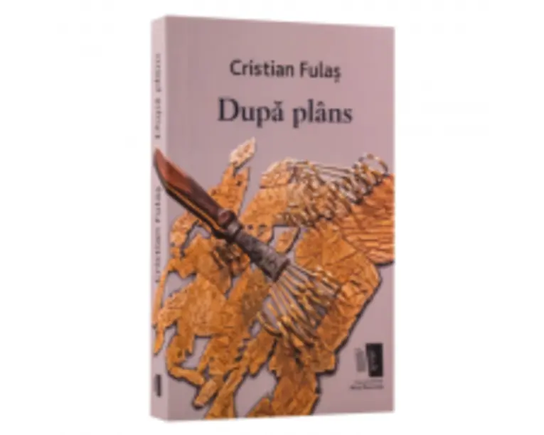 Dupa Plans - Cristi Fulas