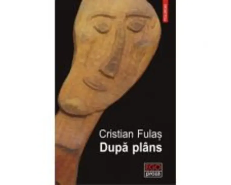 Dupa plans - Cristian Fulas