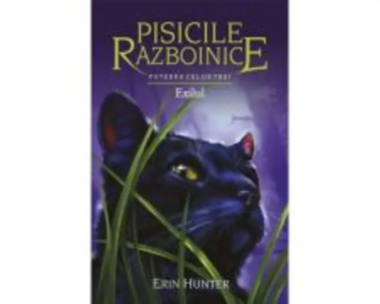 Pisicile Razboinice. Puterea celor trei. Cartea a 15. Exilul - Erin Hunter
