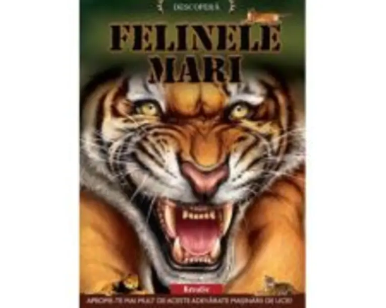 Felinele mari