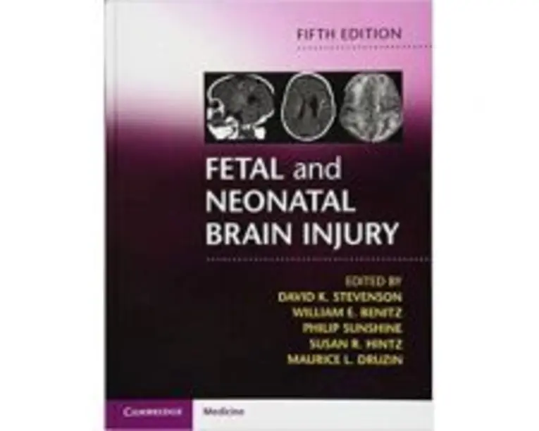 Fetal and Neonatal Brain Injury - David K. Stevenson, William E. Benitz, Philip Sunshine, Susan R. Hintz, Maurice L. Druzin