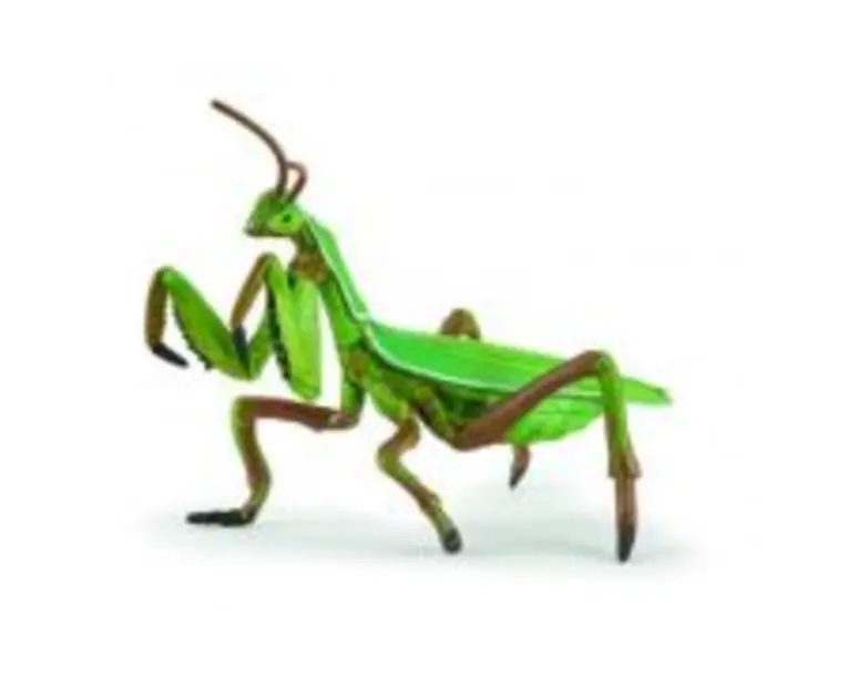 Figurina calugarita, Papo