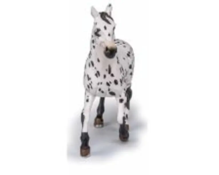 Figurina Iapa Appaloosa neagra, Papo