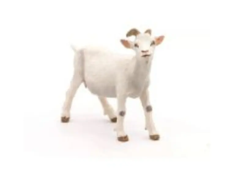 Figurina Papo capra alba