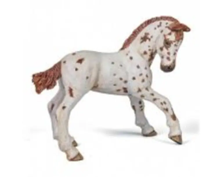 Figurina Papo manz rasa Appaloosa