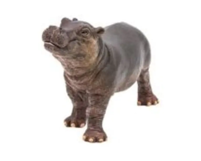 Figurina Pui de Hipopotam, Papo