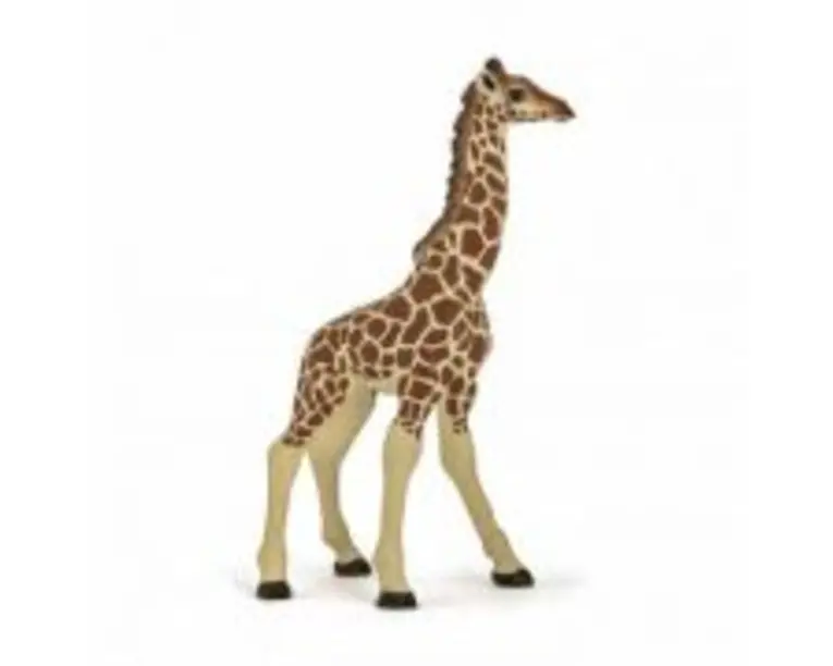Figurina pui de girafa, Papo