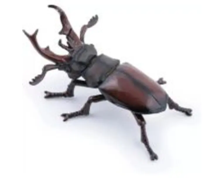 Figurina radasca, Papo