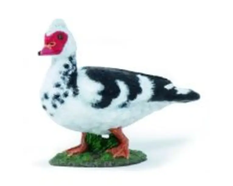 Figurina rata domestica, Papo