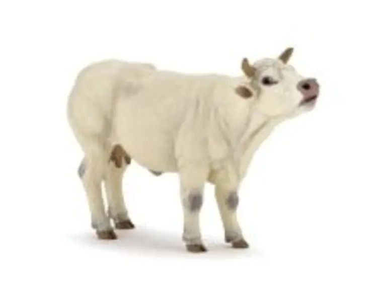 Figurina Papo vaca Charolais mugind