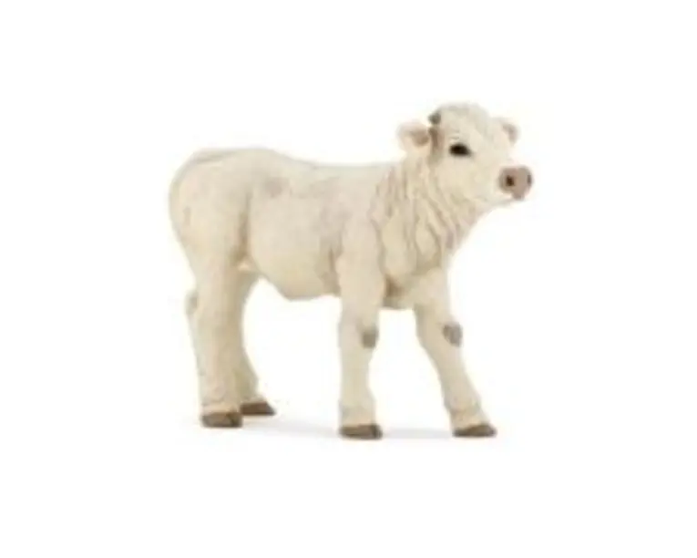 Figurina Papo vitel Charolais