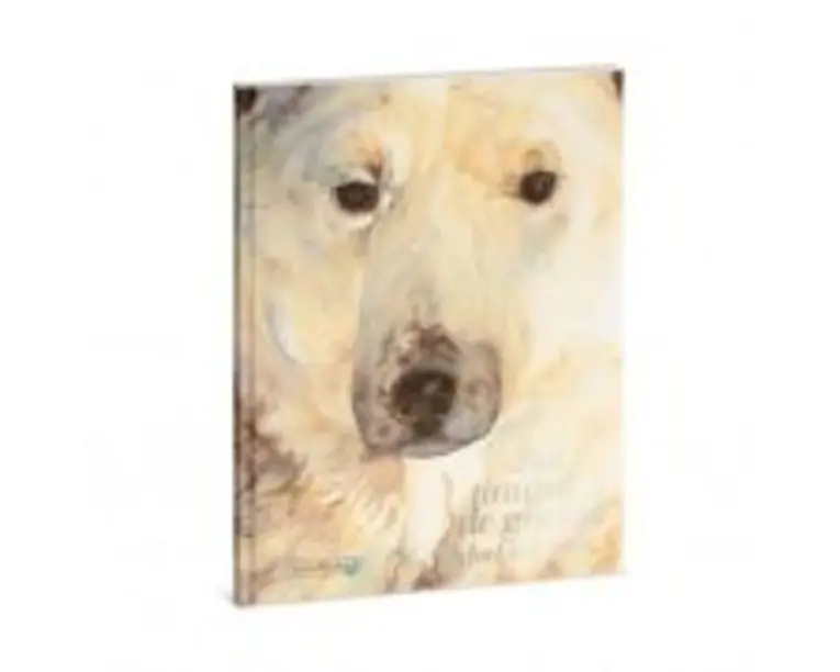 Fiul tinutului de gheata - Jackie Morris