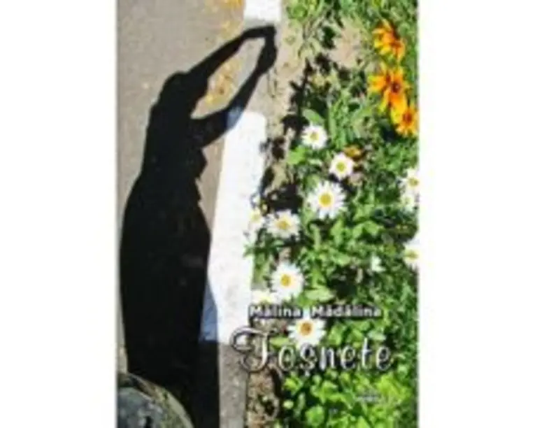 Fosnete - Malina Madalina