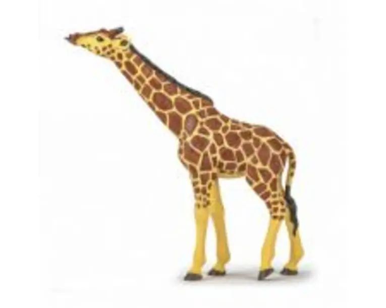 Figurina girafa cu cap ridicat, Papo