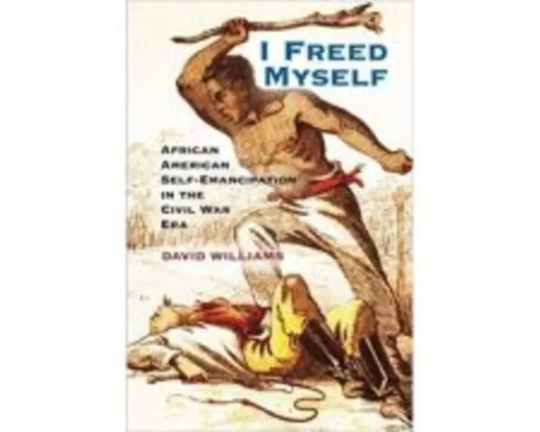 I Freed Myself: African American Self-Emancipation in the Civil War Era - David Williams