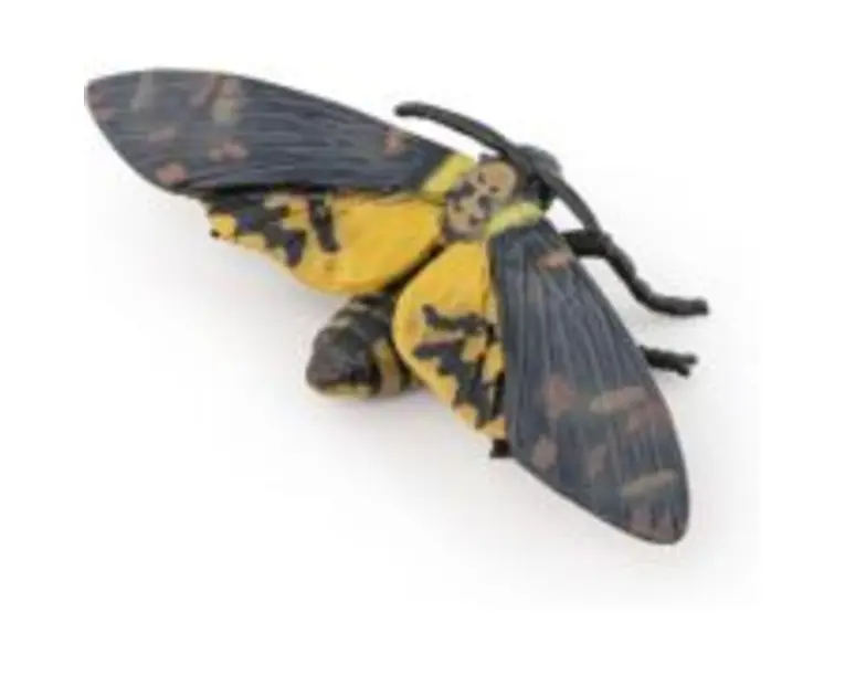 Figurina molie, Papo