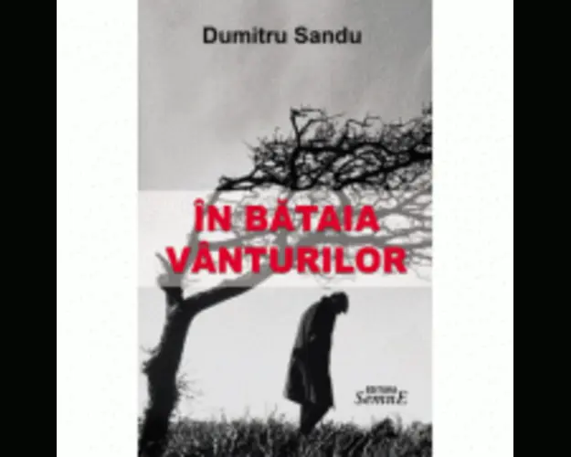 In bataia vanturilor - Dumitru Sandu
