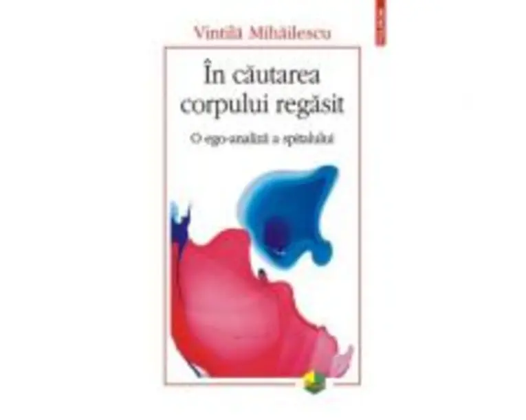In cautarea corpului regasit. O ego-analiza a spitalului - Vintila Mihailescu